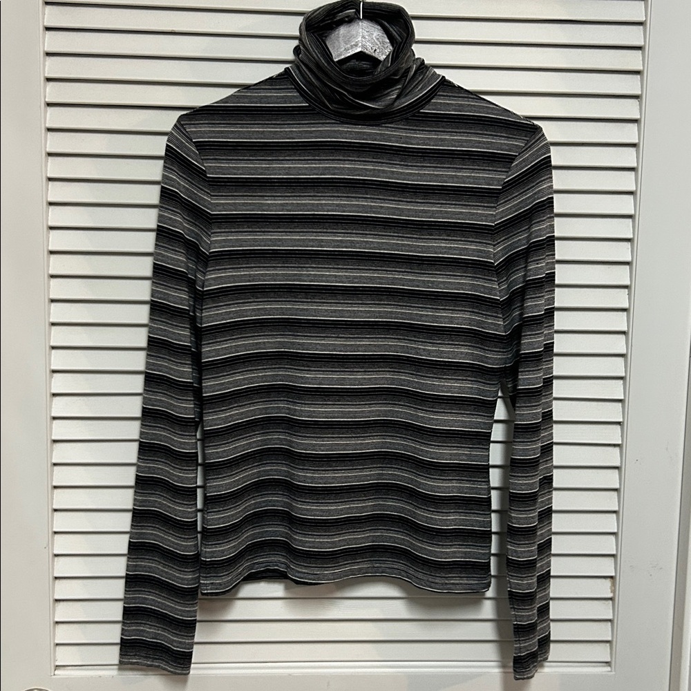 The Limited Stretch Stripe Turtleneck Long Sleeve Top
